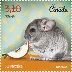 Chinchilla 2014 Croatia stamp