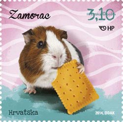 Guinea Pig 2014 Croatia stamp