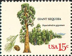 Trees of Americs stamp 1978